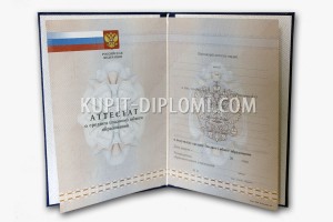 купить аттестат за 11 класс 2010-2013
