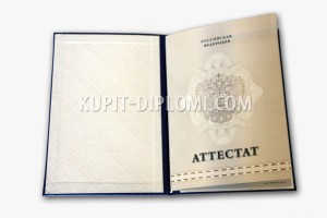 купить аттестат за 11 класс 2010-2013 годов